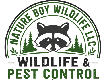 Nature Boy Wildlife LLC (1)